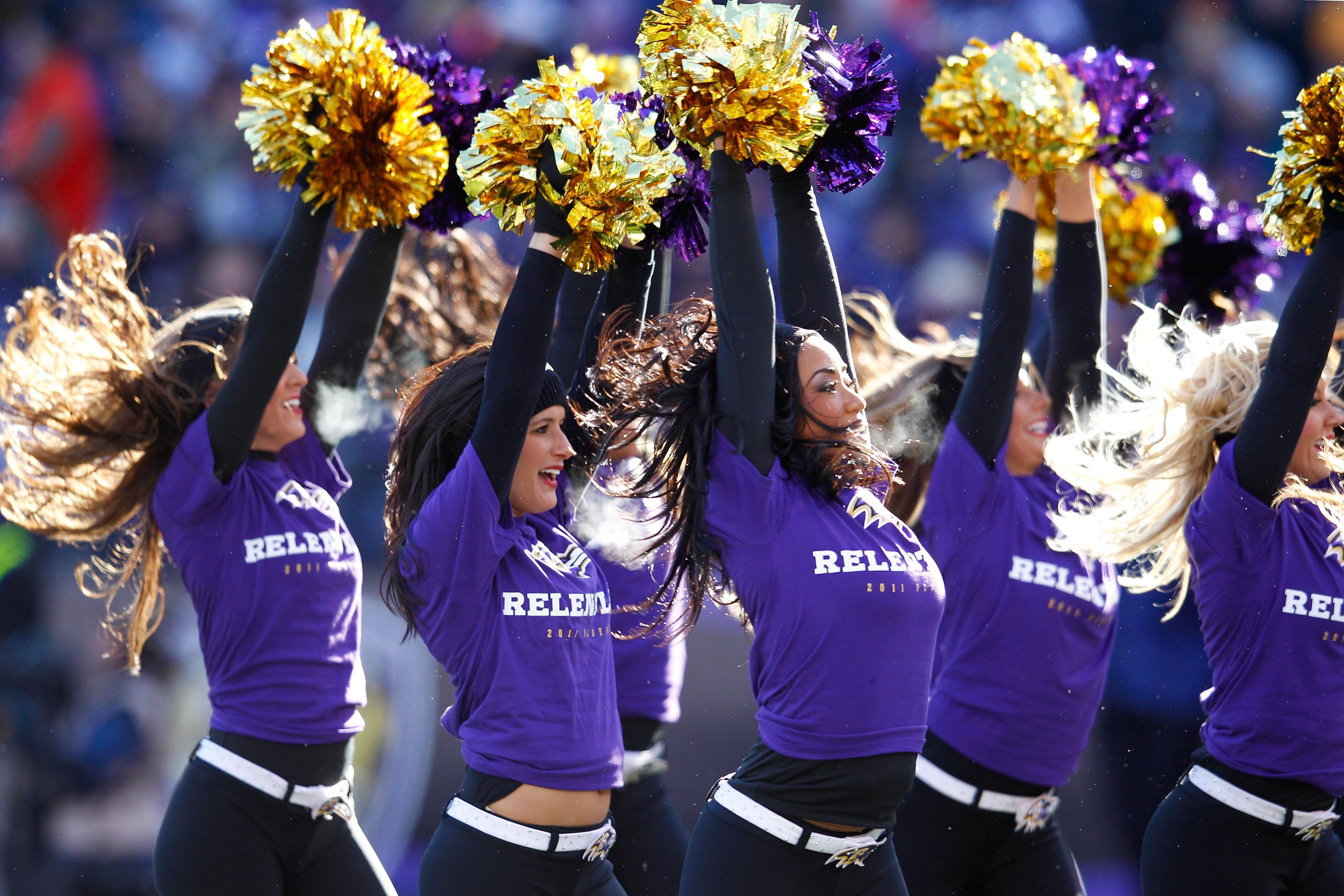 Divisional Playoffs - Houston Texans v Baltimore Ravens