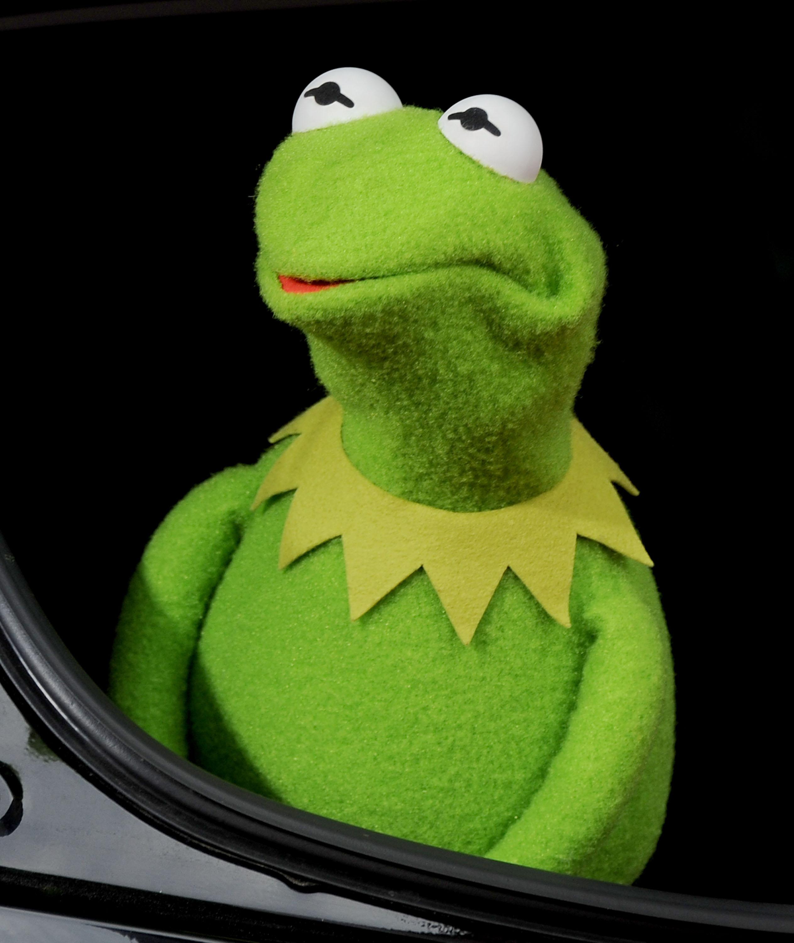 Disney's 'Muppets Most Wanted' - Los Angeles Premiere - Arrivals