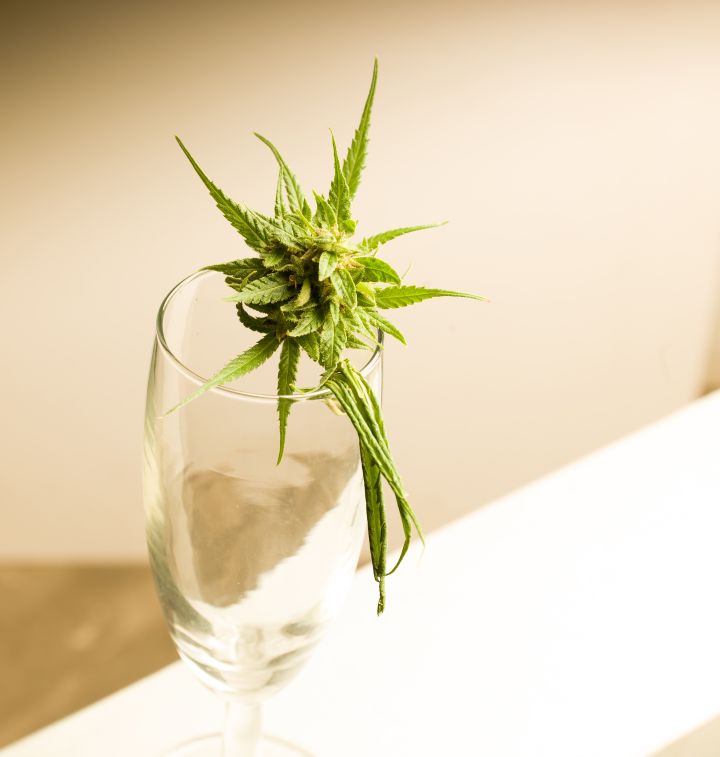 Remembering The Best 4/20 Marijuana Photos