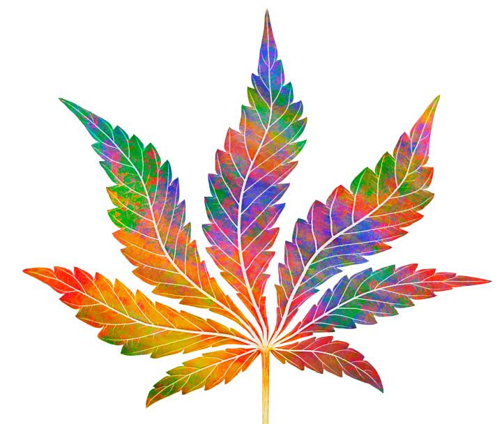 Remembering The Best 4/20 Marijuana Photos