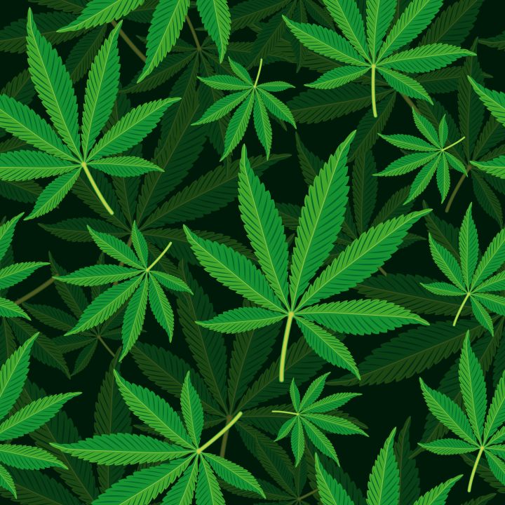 Remembering The Best 4/20 Marijuana Photos