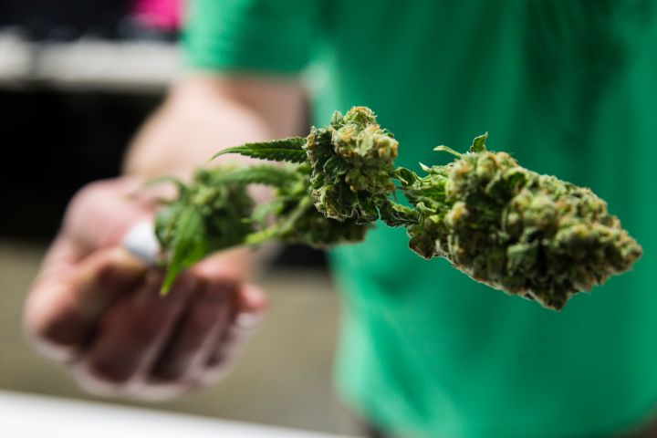 Remembering The Best 4/20 Marijuana Photos