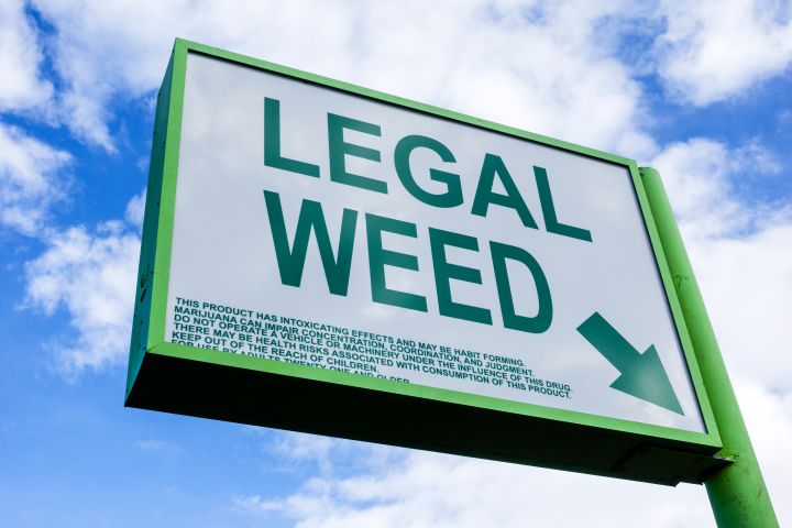 Remembering The Best 4/20 Marijuana Photos