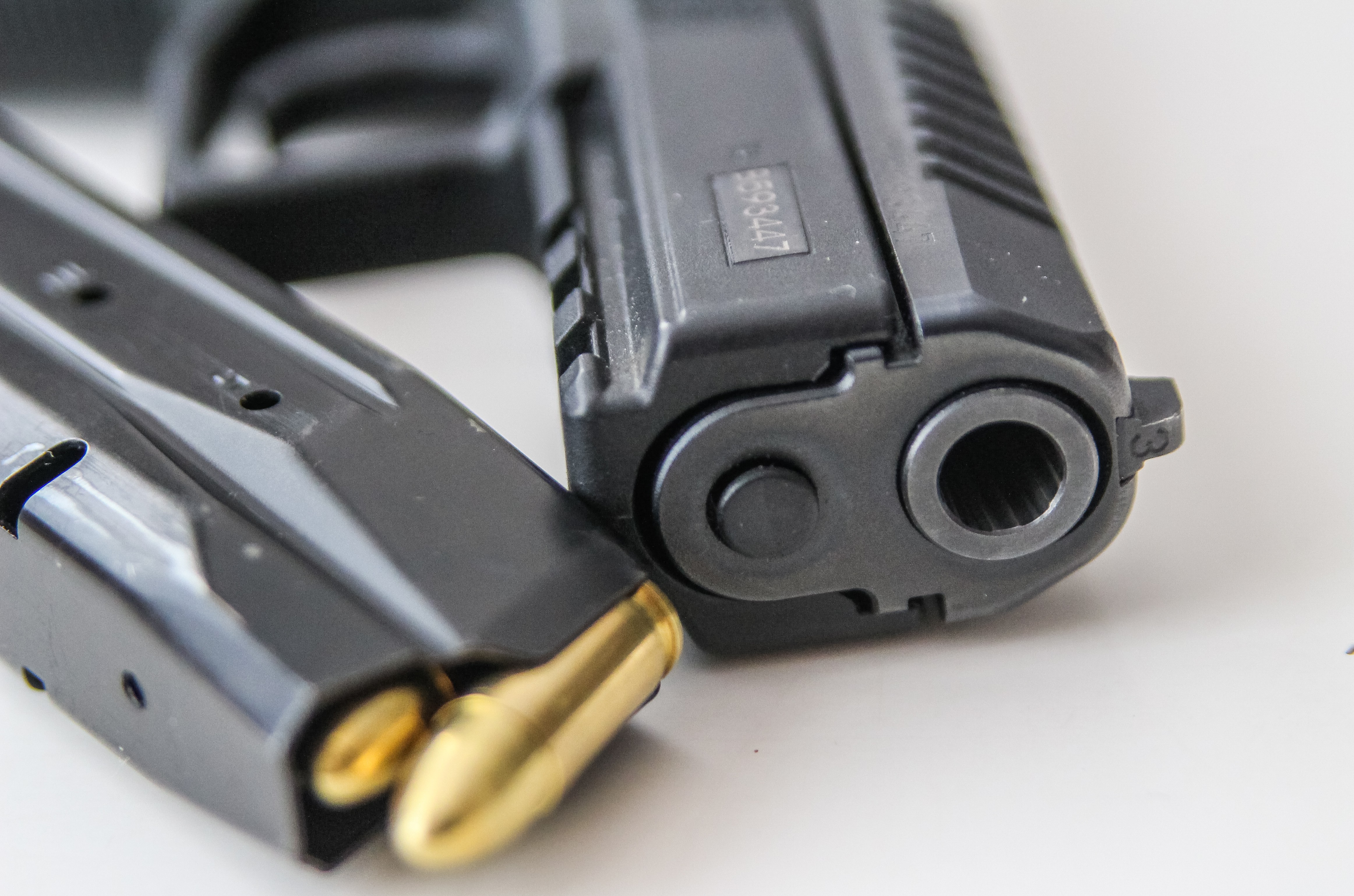 Number of gun licenses in Poland recorded increase