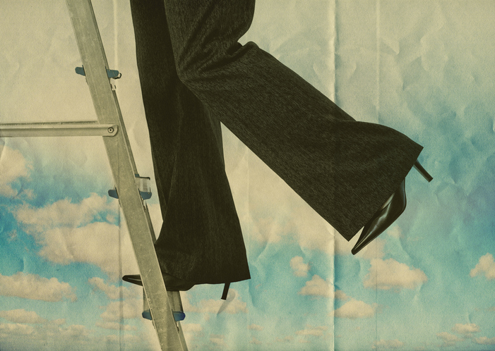 Step up ladder