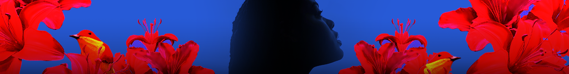 Desktop banner image