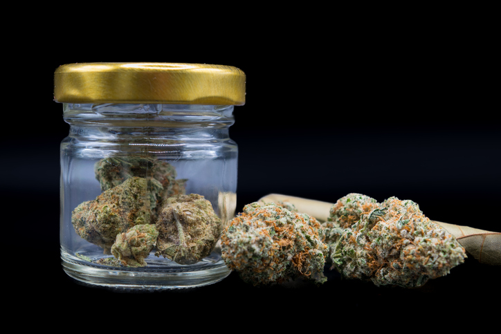 Medical cannabis buds are dried flowers of cannabis plants